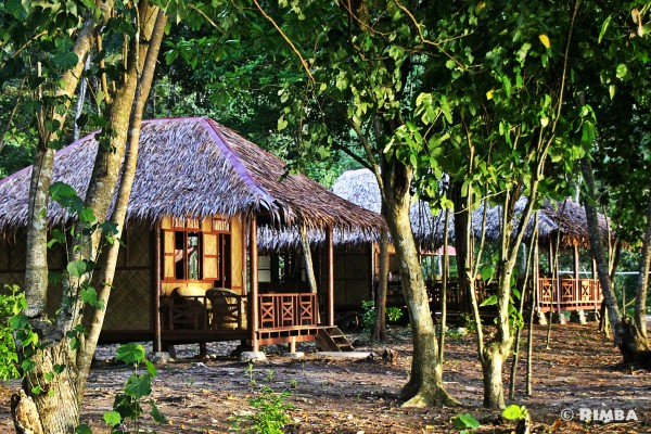 THE ECOLODGE - Rimba