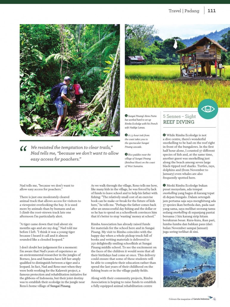 Colours - Garuda Inflight Mag - Rimba